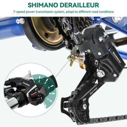 Tricycle adulte 26 pouces, 3 roues, 7 vitesses