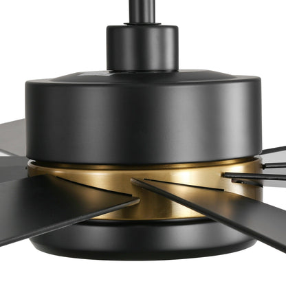 Ventilateur de plafond LED noir à 8 pales de 65 pouces avec éclairage et télécommande