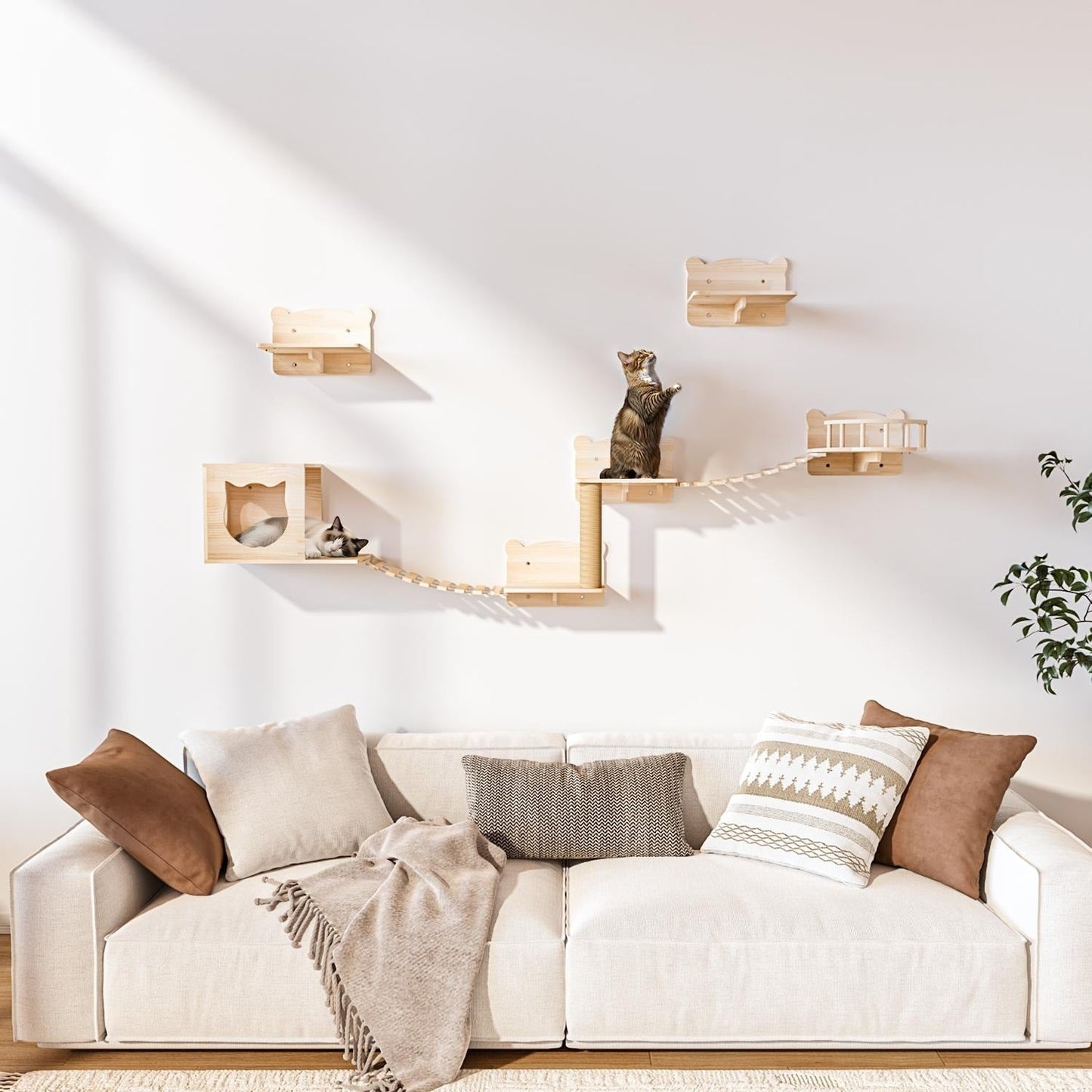 Système d'escalade mural pour chat BOSSIN 9/16/18 pièces en pin - Étagères murales avec panier, griffoir et tunnel