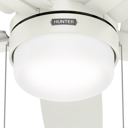 Ventilateur de plafond à profil bas Hunter 52 Anisten avec éclairage LED et chaînette - Moderne, contemporain, transitionnel