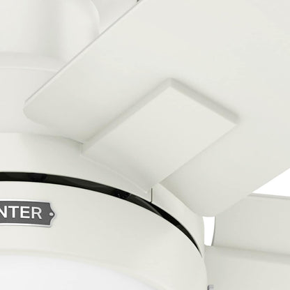 Ventilateur de plafond à profil bas Hunter 52 Anisten avec éclairage LED et chaînette - Moderne, contemporain, transitionnel