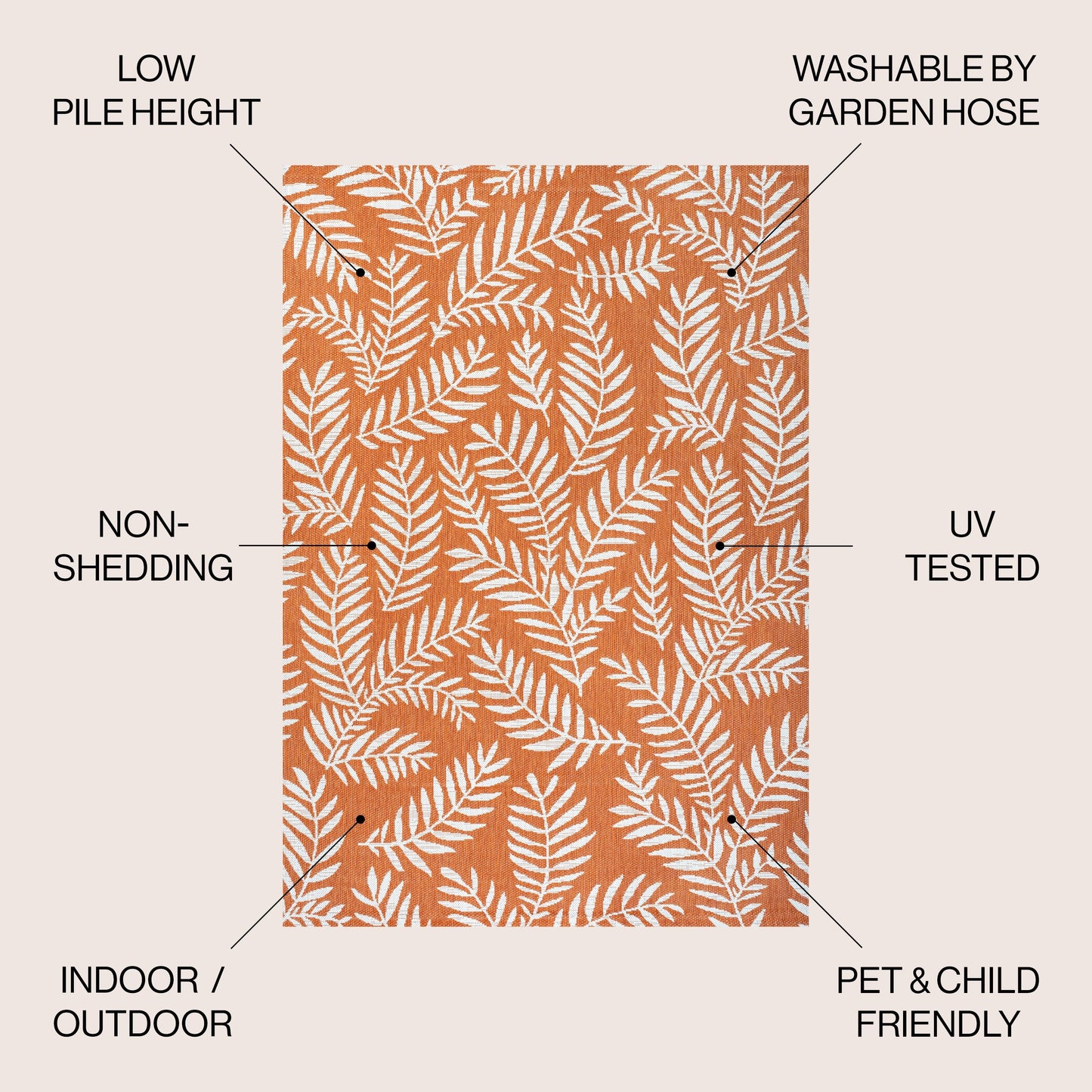 JONATHAN Y Tapis intérieur/extérieur à fronde de palmier Galon