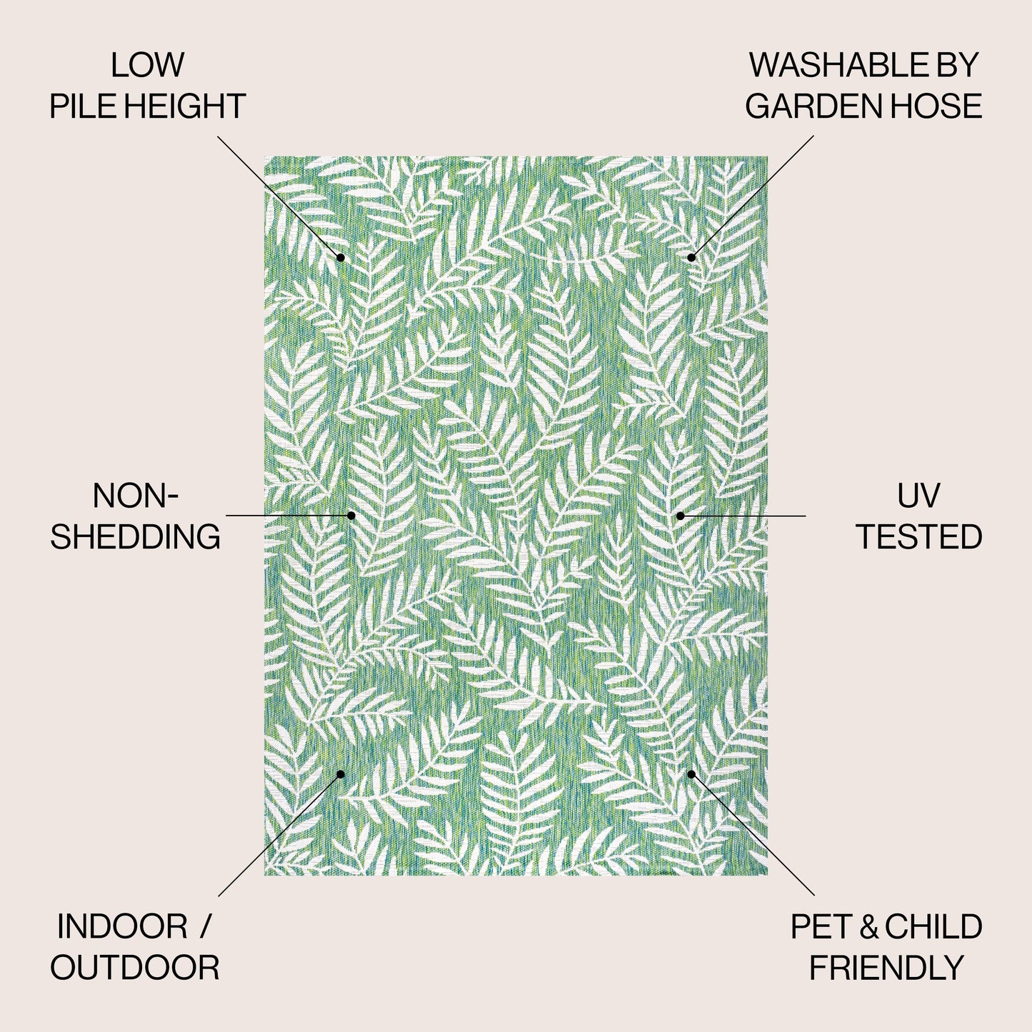 JONATHAN Y Tapis intérieur/extérieur à fronde de palmier Galon