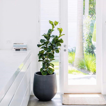 Jardinière conique en fibre de pierre DreamPatio La Mirada (1 pièce) pour intérieur/extérieur