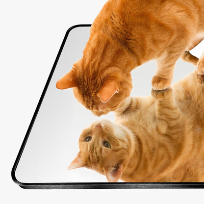 Miroir sur pied moderne pleine longueur