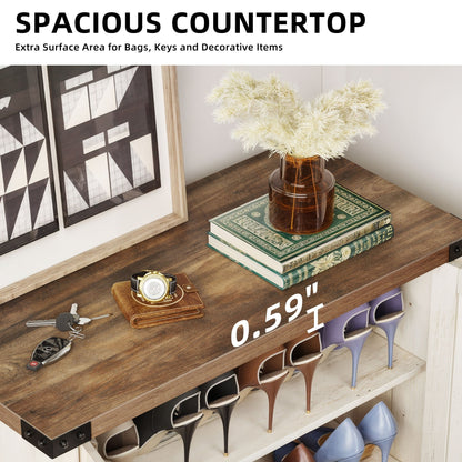 Meuble de rangement à chaussures Moasis à 5 niveaux pour 20 paires de chaussures avec portes doubles pour l'entrée