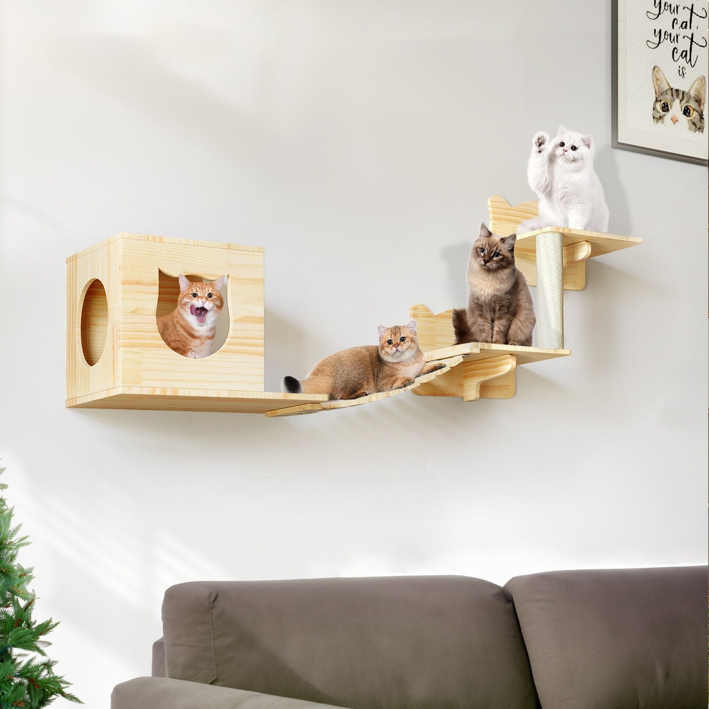 Ensemble d'étagères murales pour chat Moasis, ensemble d'escalade en bois pour chat.