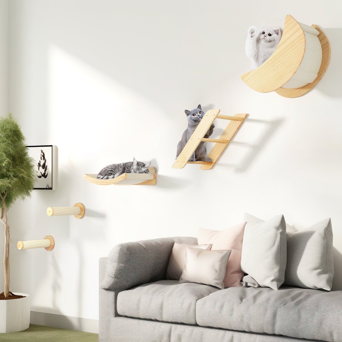 Ensemble d'étagères murales pour chat Moasis, ensemble d'escalade en bois pour chat.