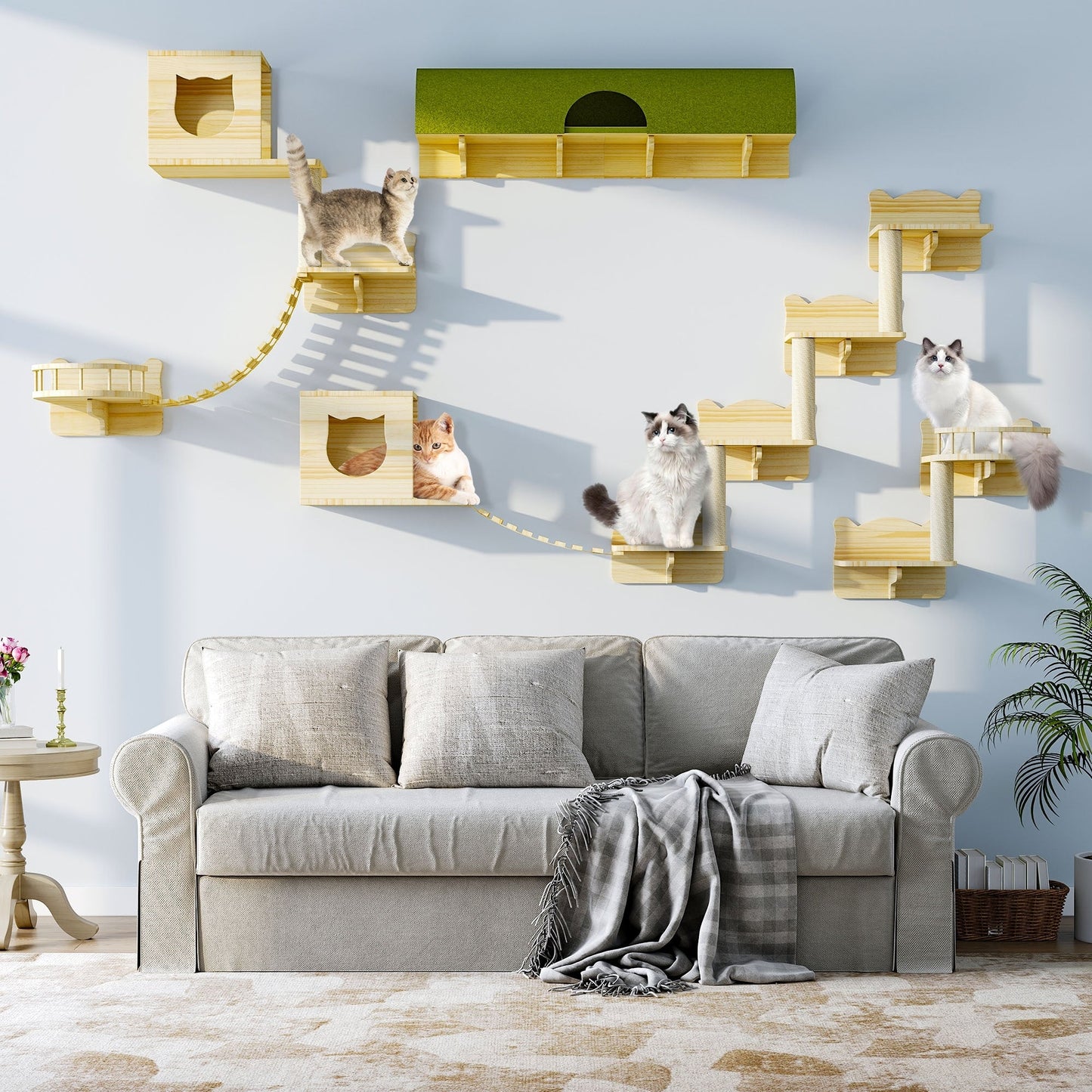Ensemble d'étagères murales pour chat Moasis, ensemble d'escalade en bois pour chat.