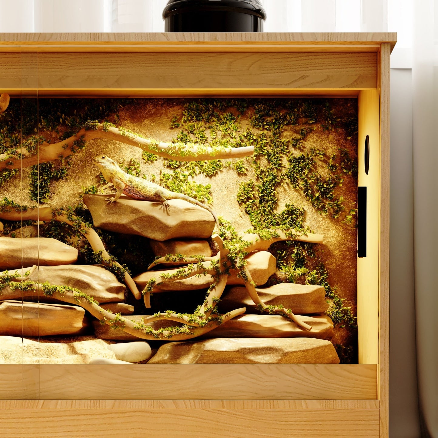 Habitat pour reptiles - Terrarium spacieux pour lézards, serpents et plus - 47,2