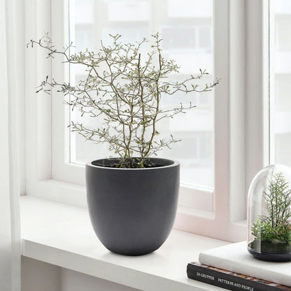 Pot de fleurs conique rond en oxyde de magnésium (MgO), pour intérieur et extérieur