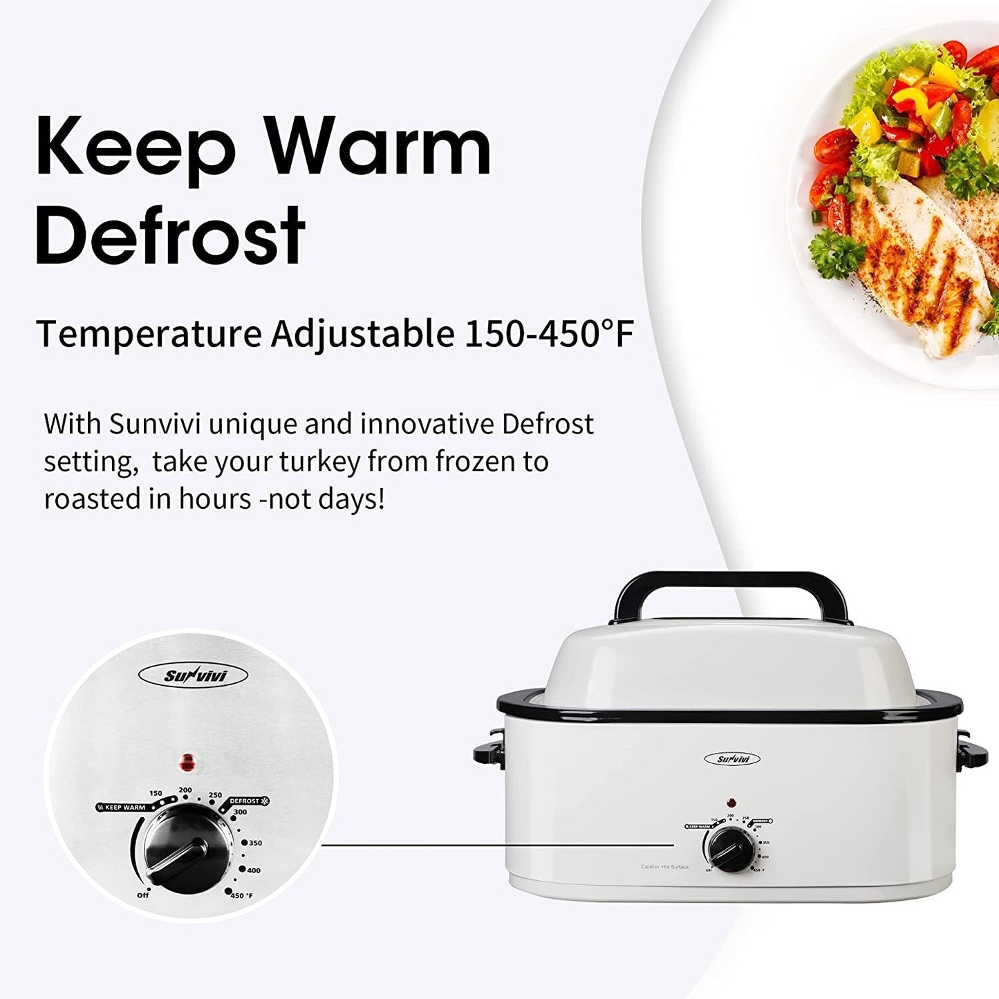 Four rôtissoire Royalcraft avec plat amovible