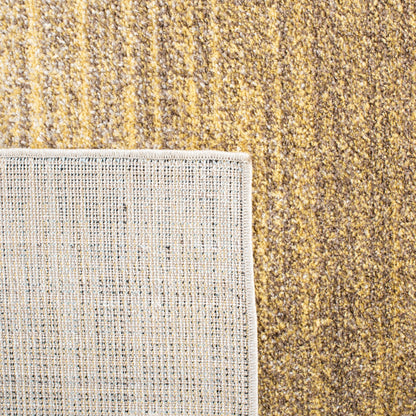 SAFAVIEH Tapis Adirondack Muzeyyen Ombre vieilli