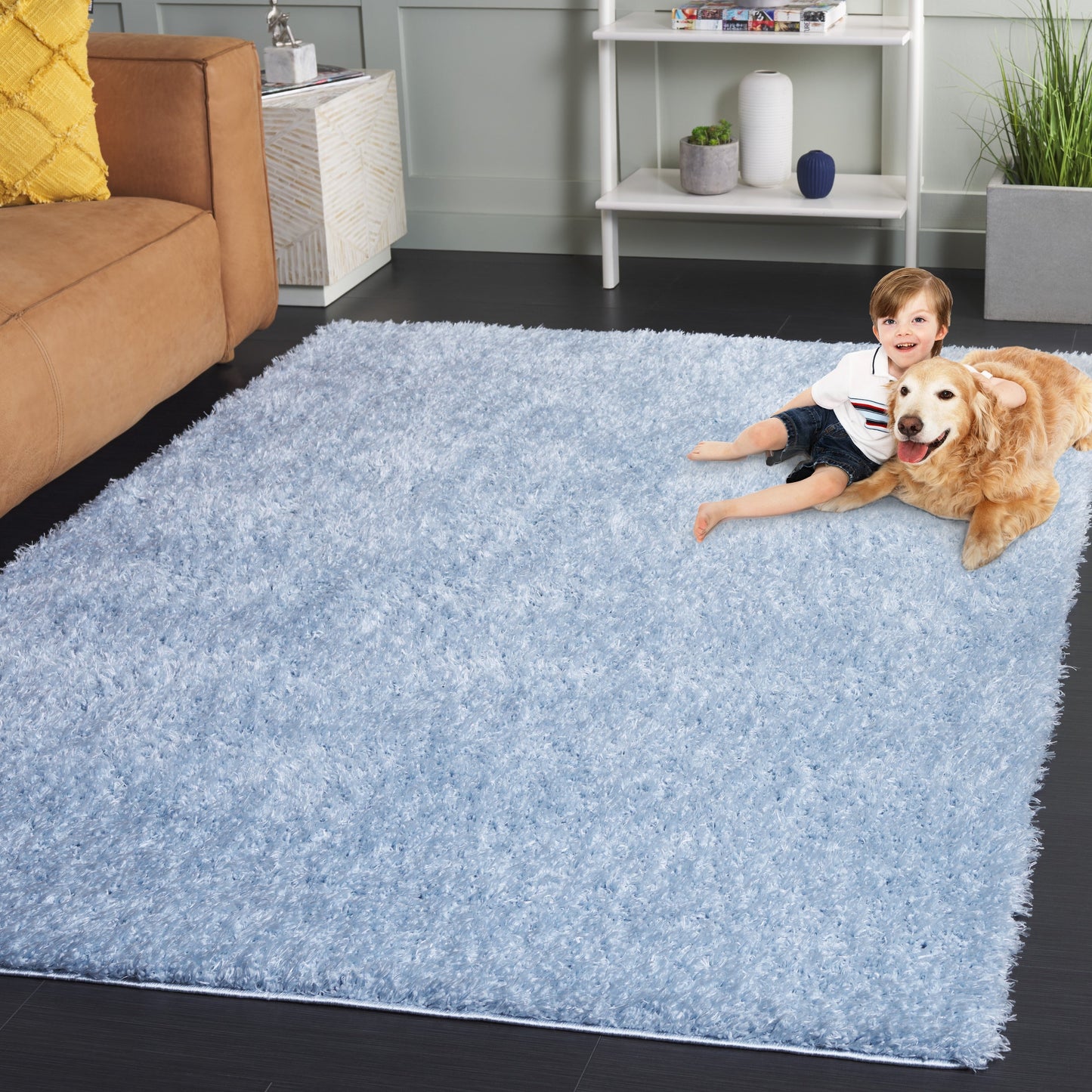 Tapis contemporain SAFAVIEH Lindsay Shag Luann