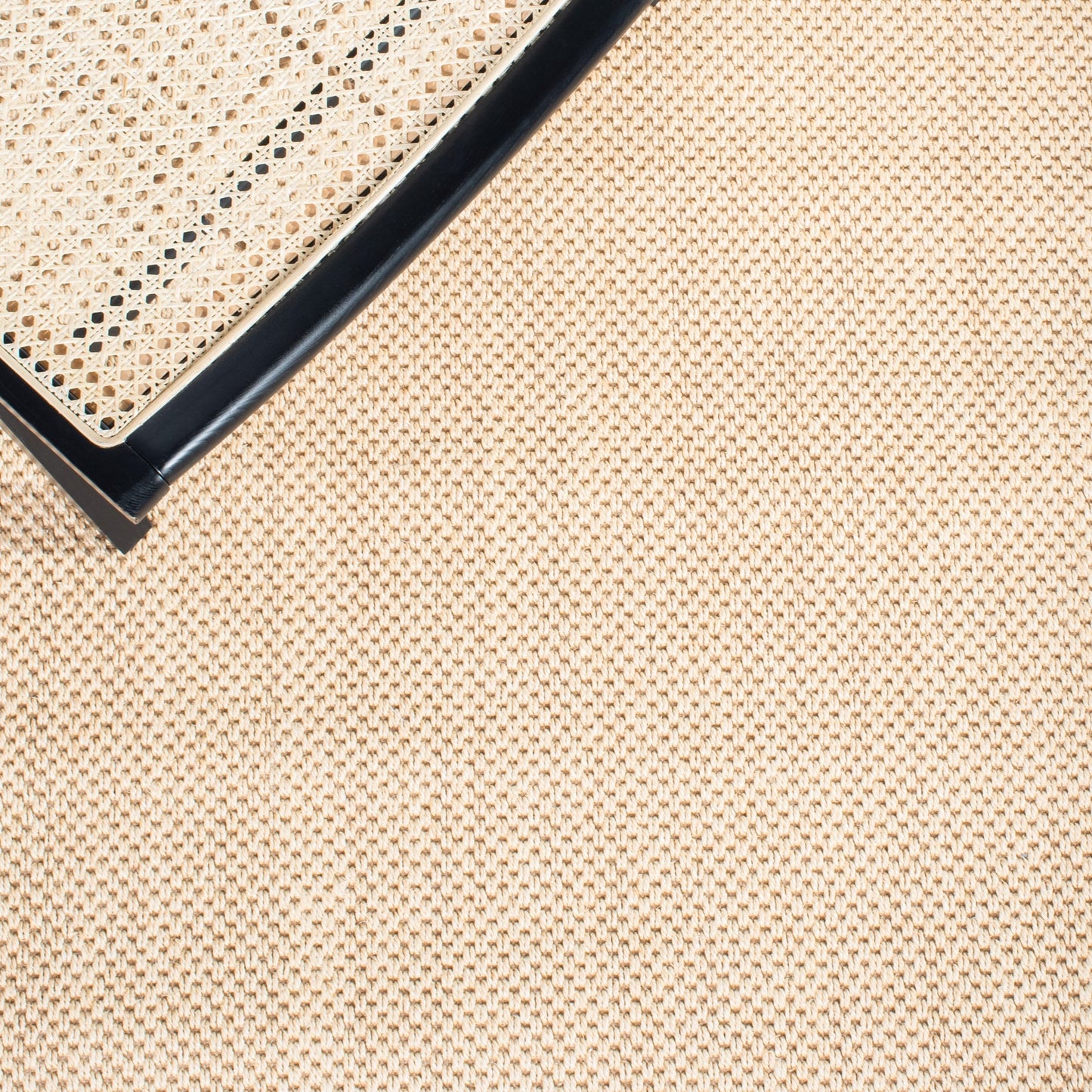 Tapis en sisal SAFAVIEH Venus en fibre naturelle, bordure décontractée