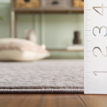 Tapis oriental SAFAVIEH Reflection Elzada