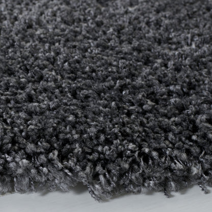 SAFAVIEH, Tapis Santa Monica Mahalia Shag de 2 pouces d'épaisseur