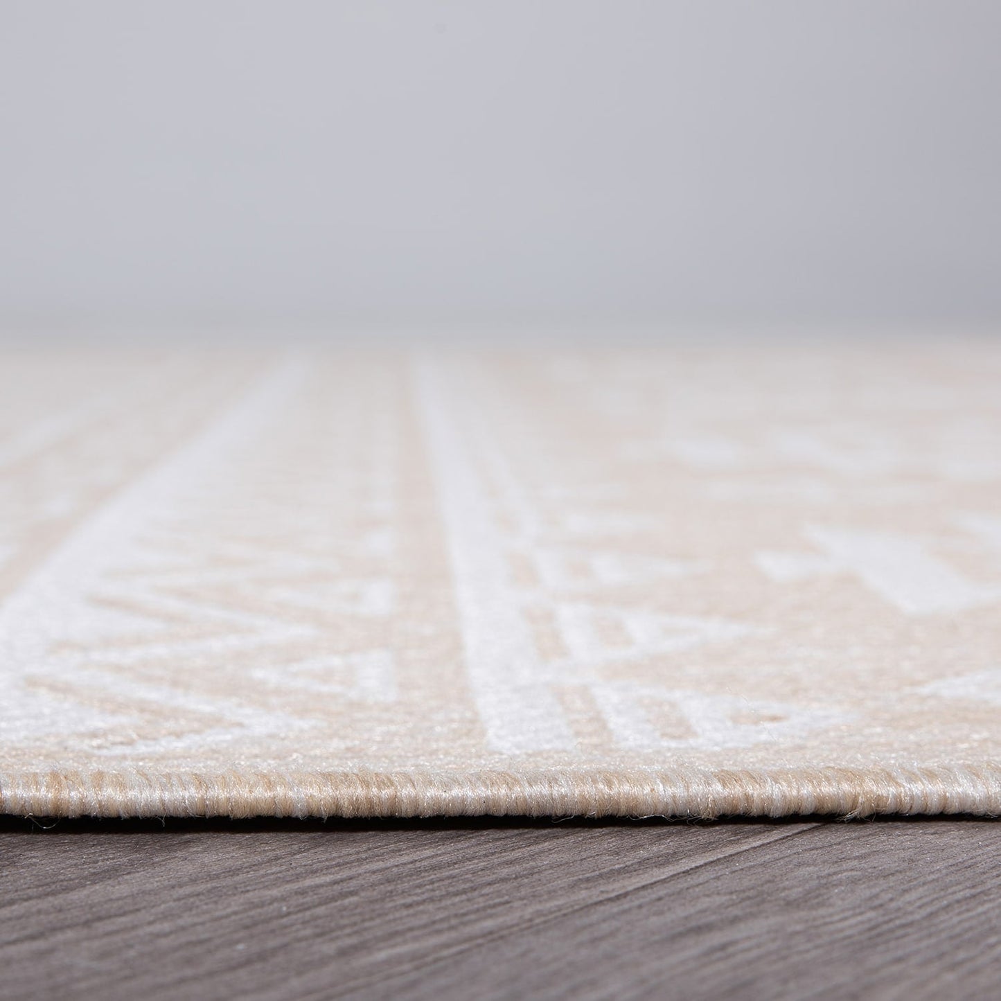 Tapis d'intérieur/extérieur texturé géométrique bohème vieilli World Rug Gallery